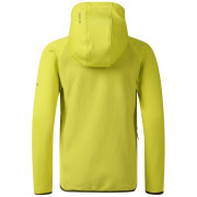 Дитяча куртка Dare 2b Kids Switch Out Hybrid Frg/Gldncyp