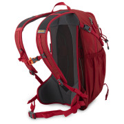 Рюкзак Pinguin Ride 19