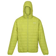 Чоловіча зимова куртка Regatta Hooded Hillpack темно-зелений Green Algae