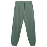 Чоловічі спортивні штани 4F Trousers Cas M1272 зелений GREEN