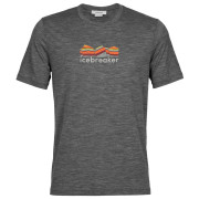Чоловіча футболка Icebreaker Tech Lite II SS Tee Mountain Geology сірий