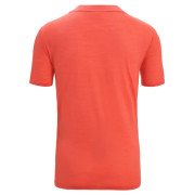 Чоловіча функціональна футболка Icebreaker Men ZoneKnit™ SS Tee GEODETIC