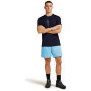 Чоловіча футболка Icebreaker M Merino 150 Tech Lite SS Tee Lancewood