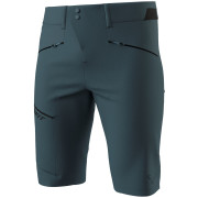 Чоловічі шорти Dynafit Transalper Dst Shorts M