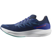 Чоловічі кросівки Salomon Spectur