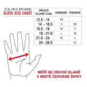 Жіночі рукавички Dakine Sequoia Gore-Tex Mitt
