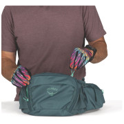 Поясна сумка Osprey Savu 5