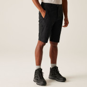 Чоловічі шорти Regatta Highton Shorts Long II