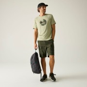 Чоловічі шорти Regatta Arlery Shorts