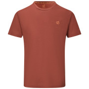Чоловіча футболка Dare 2b Agile Short Sleeved Tee коричневий ArabianSpice