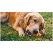 Іграшка для собак Ruffwear Gnawt-a-Cone™ Toy