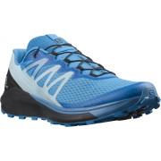 Чоловічі черевики Salomon Sense Ride 4