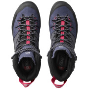 Жіночі черевики Salomon X Alp High Ltr Gtx W