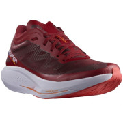 Чоловічі кросівки Salomon Phantasm