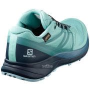 Dámské boty Salomon Sense Ride 2 Gtx Invis Fit W