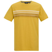 Чоловіча футболка Regatta Rendro жовтий CeylonYellow