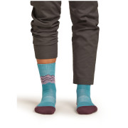 Жіночі шкарпетки Icebreaker Women Merino Hike+ Medium Crew Across the Peaks