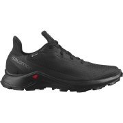 Чоловічі черевики Salomon Alphacross 3 Gore-Tex