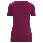 Жіноча функціональна футболка Icebreaker Women Tech Lite II SS Scoop Tee Nature Celebration