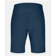 Чоловічі шорти Ortovox Brenta Shorts M