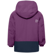 Дитяча зимова куртка Didriksons Talvi Kids Jkt 2 Northen Purple