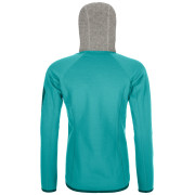 Жіноча толстовка Ortovox W's Fleece Plus Classic Knit Hoody