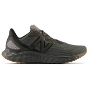 Чоловічі черевики New Balance Fresh Foam Arishi v4