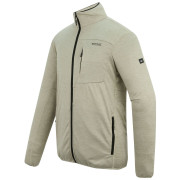 Чоловіча толстовка Regatta Hillden Midlayer