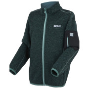 Дитяча толстовка Regatta Junior Newhill