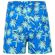 Дитячий купальник Regatta Skander SBluIGrPalm