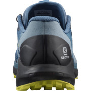 Чоловічі черевики Salomon Sense Ride 4