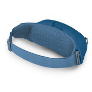 Поясна сумка Osprey Daylite Waist Pack
