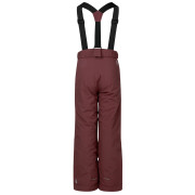 Дитячі зимові штани Dare 2b Outmove III Insulated Pant Huckleberry