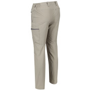 Чоловічі штани Regatta Highton Trs short