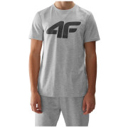 Чоловіча футболка 4F Tshirt M1155 світло-сірий Cold Light Grey Melange