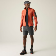 Чоловічі шорти Regatta Anti-Insect Travel Light Shorts