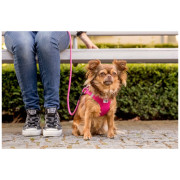 Повідець для собаки Curli Stretch Comfort Leash