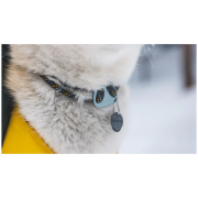 Нашийник для собаки Ruffwear Knot-a-Collar™