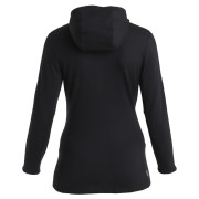 Жіноча кофта Icebreaker W Mer 260 Quantum IV LS Zip Ho
