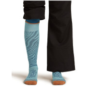 Жіночі шкарпетки Icebreaker Women Merino Blend Ski+ Medium OTC Mountain Contour