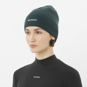 Шапка Salomon Salomon
