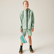Дитяча куртка Dare 2b Kids Switch II Jacket GlacierGreen
