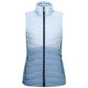Жіноча жилетка Regatta Womens Leedre Hybrid B/W блакитний SkyDuskBl