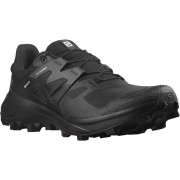 Чоловічі черевики Salomon Wildcross 2 Gore-Tex чорний