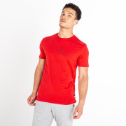 Чоловіча футболка Dare 2b Relic Tee червоний