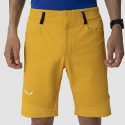 Чоловічі шорти Salewa Agner Dst M Shorts.