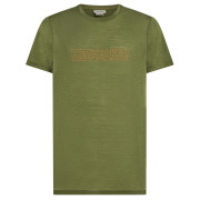 Чоловіча функціональна футболка Icebreaker M 150 Tech Lite SS Tee IBCoordinates зелений Sphagnum