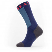Непромокаючі шкарпетки SealSkinz Scoulton синій/червоний
