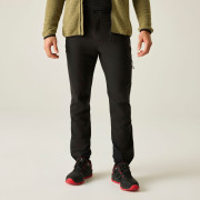 Чоловічі штани Dare 2b Mens Peak Trouser
