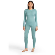 Жіноча футболка Icebreaker W's 260 Tech LS Crewe